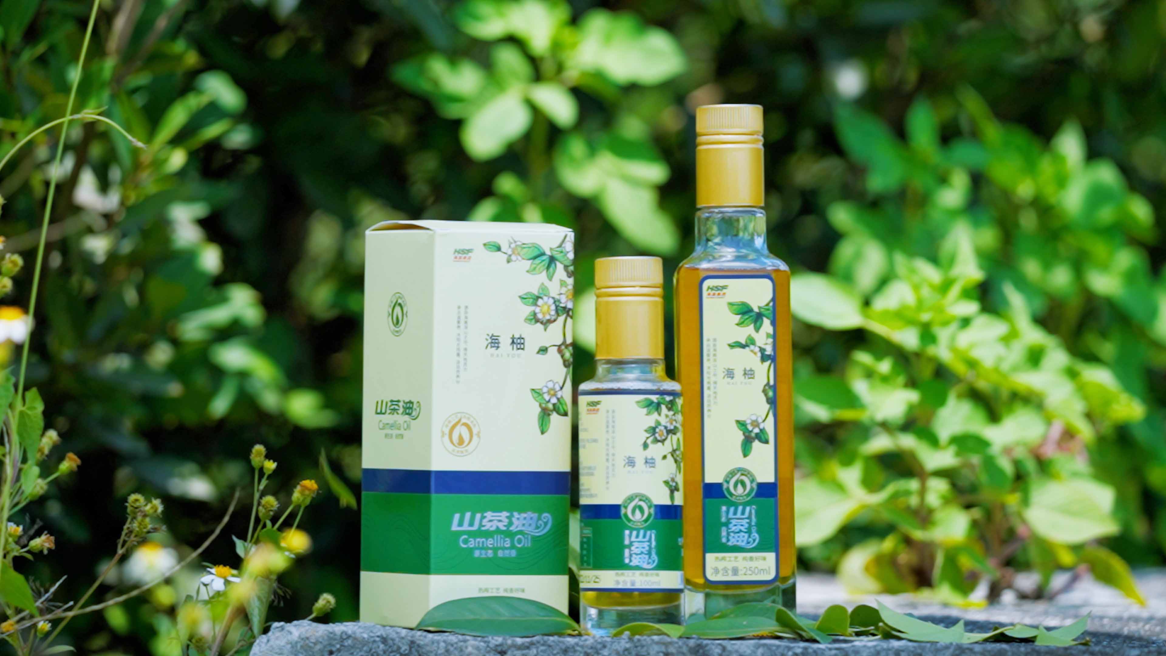 J9集团乐香山茶油