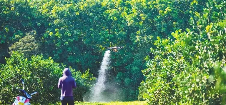 2e4f45a56b3f478c8611daef610e01aa