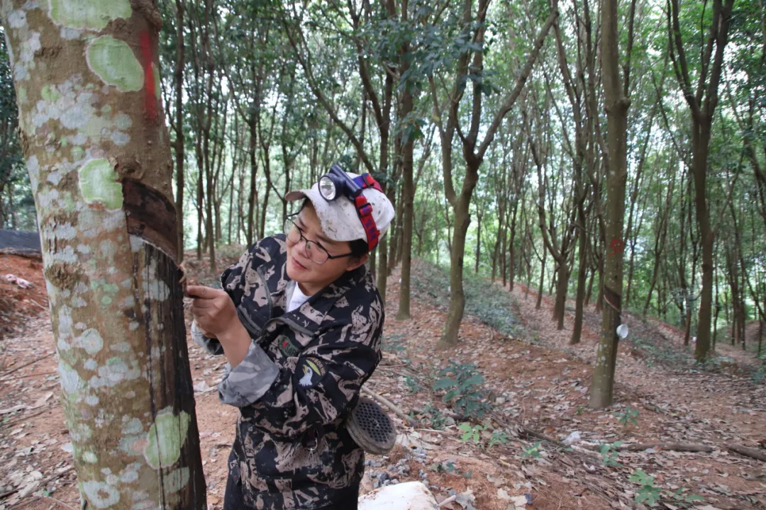 6a82a12bfe2e4e2aaede68188dee5d13