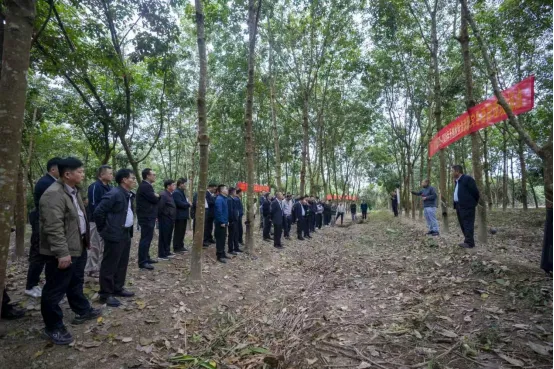 a8f9b499dbbc46199ae81eac360da9eb