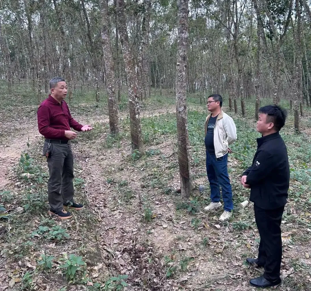 bd8a903d86e24985ab1024ecbced6508