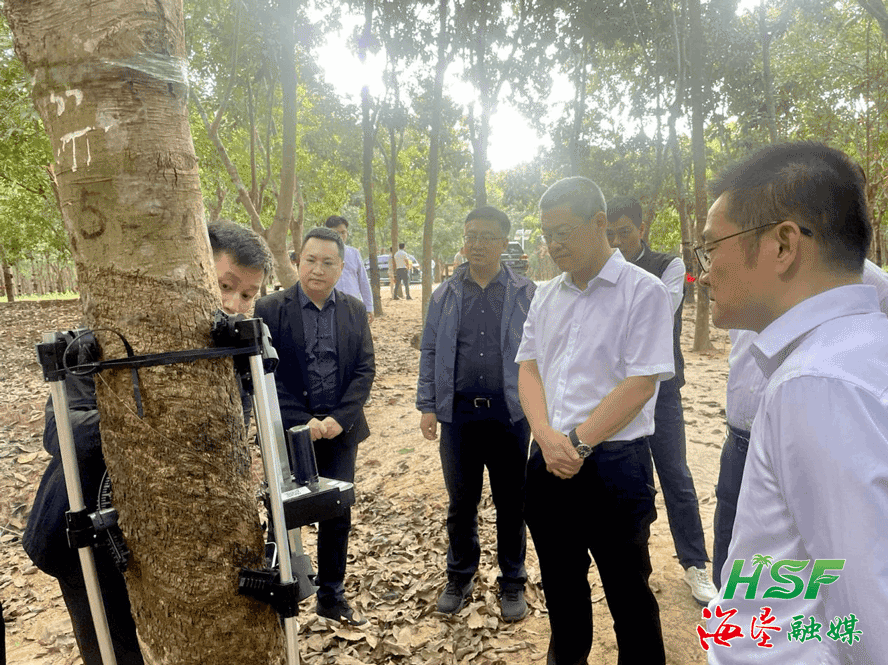 e2782768516b4cc6aa84066f6c534acf