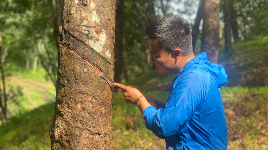 e609a811ccd44074be44649dca92aa59