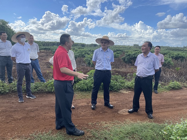 J9集团|国际站官网