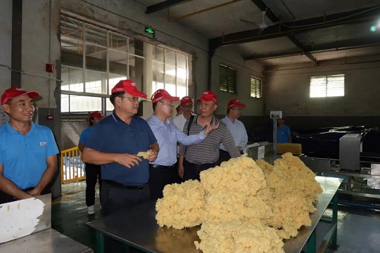 J9集团|国际站官网