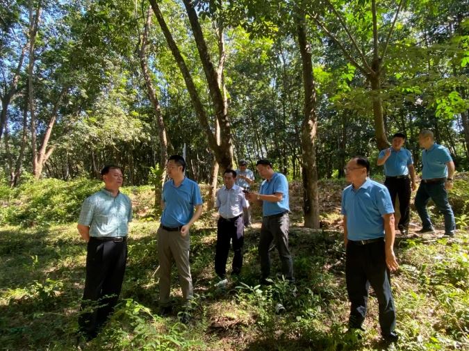 J9集团|国际站官网